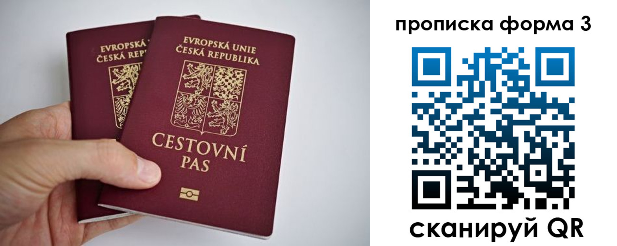 прописка в квартире в Волгограде